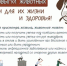 Открыть оригинальное изображение - Город Чулым