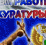 С Днем работника прокуратуры! - Город Чулым