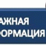 О погашении задолженности по имущественным налогам - Город Чулым