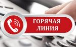 О проведении «горячей линии»